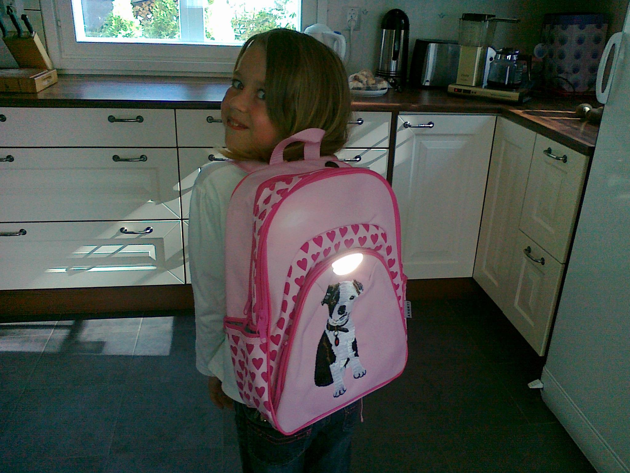 Oikeudesta oppia ja opettaa – peruskoulun alasajo?